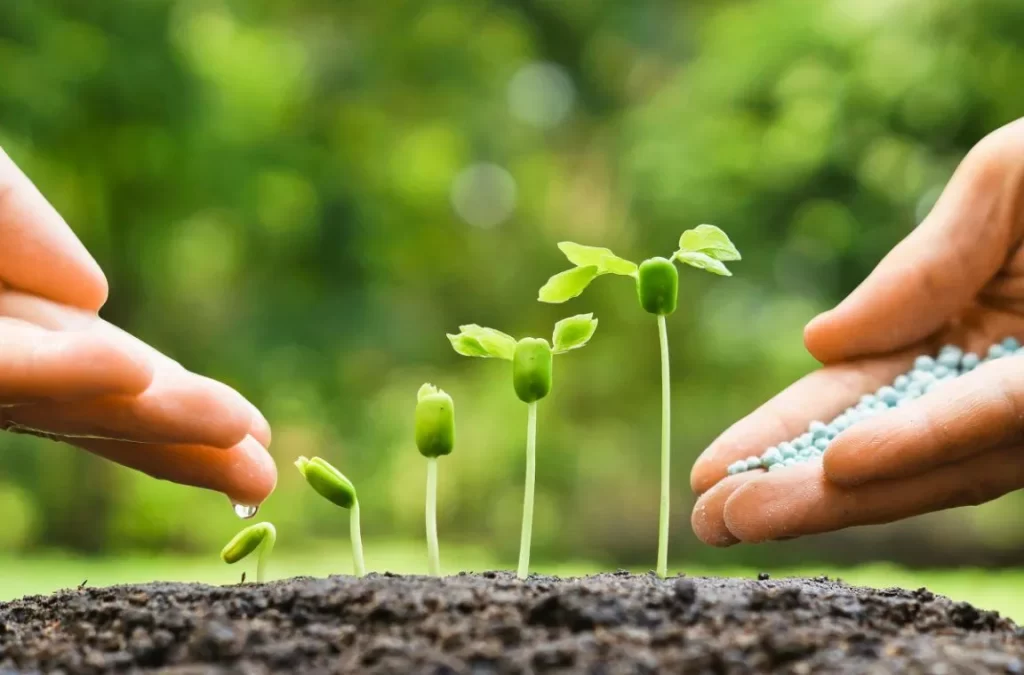 أي مما يلي يمثل تزاوجا ينتج نباتات جميعها طويلة t تمثل الطويلة t تمثل القصيرة