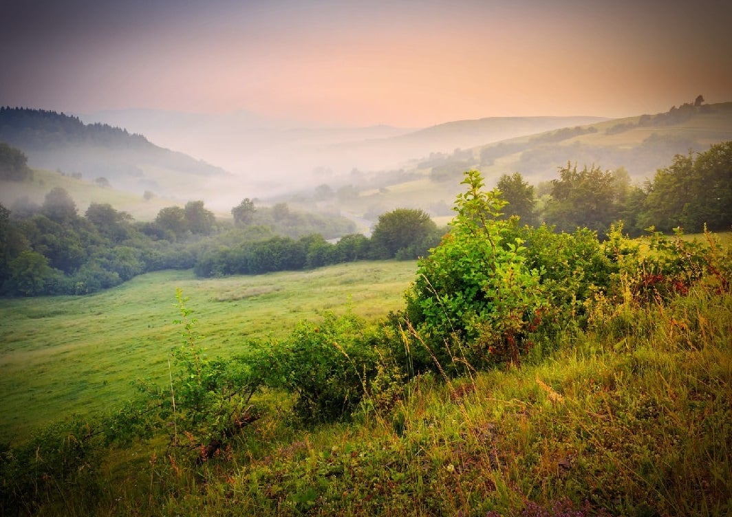 أي مما يلي لايعد من ايجابيات الصور بامتداد JPEG*