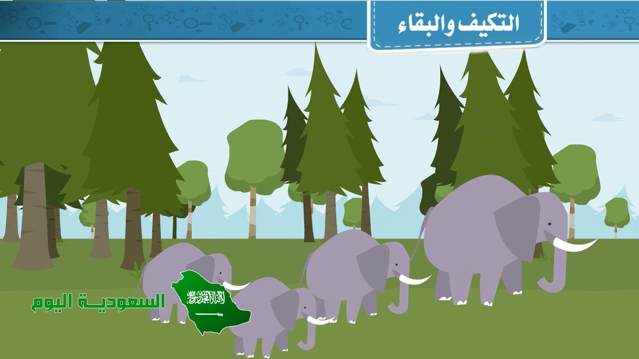 كلما زادت قدرة المخلوق على التكيف مع العوامل الحيوية وغير الحيوية زادت قدرته على توسيع نطاق جماعته