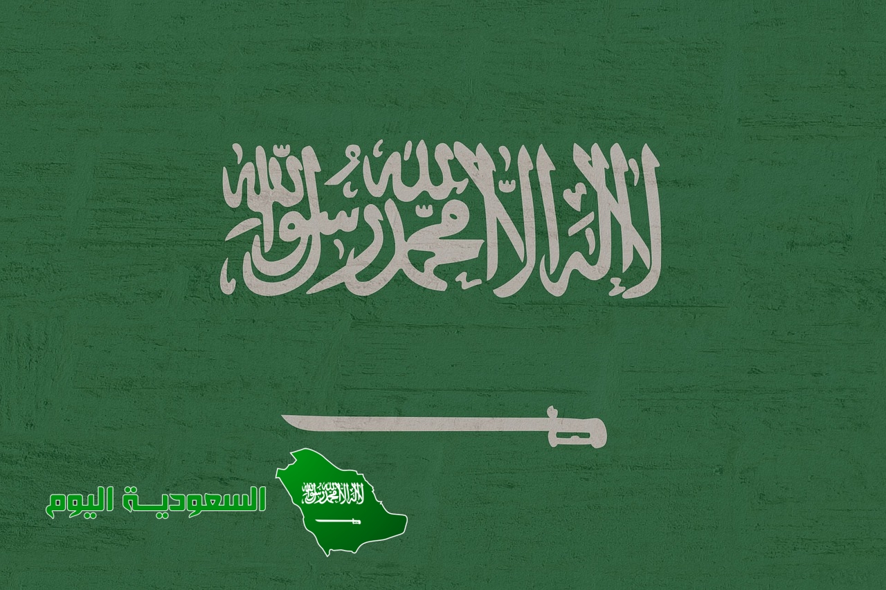 التمثيل بالقطاعات الدائرية أدناه يمثل توزيع السكان في المناطق الإدارية في المملكة، أي العبارات الآتية تصف هذه البيانات بشكل صحيح؟