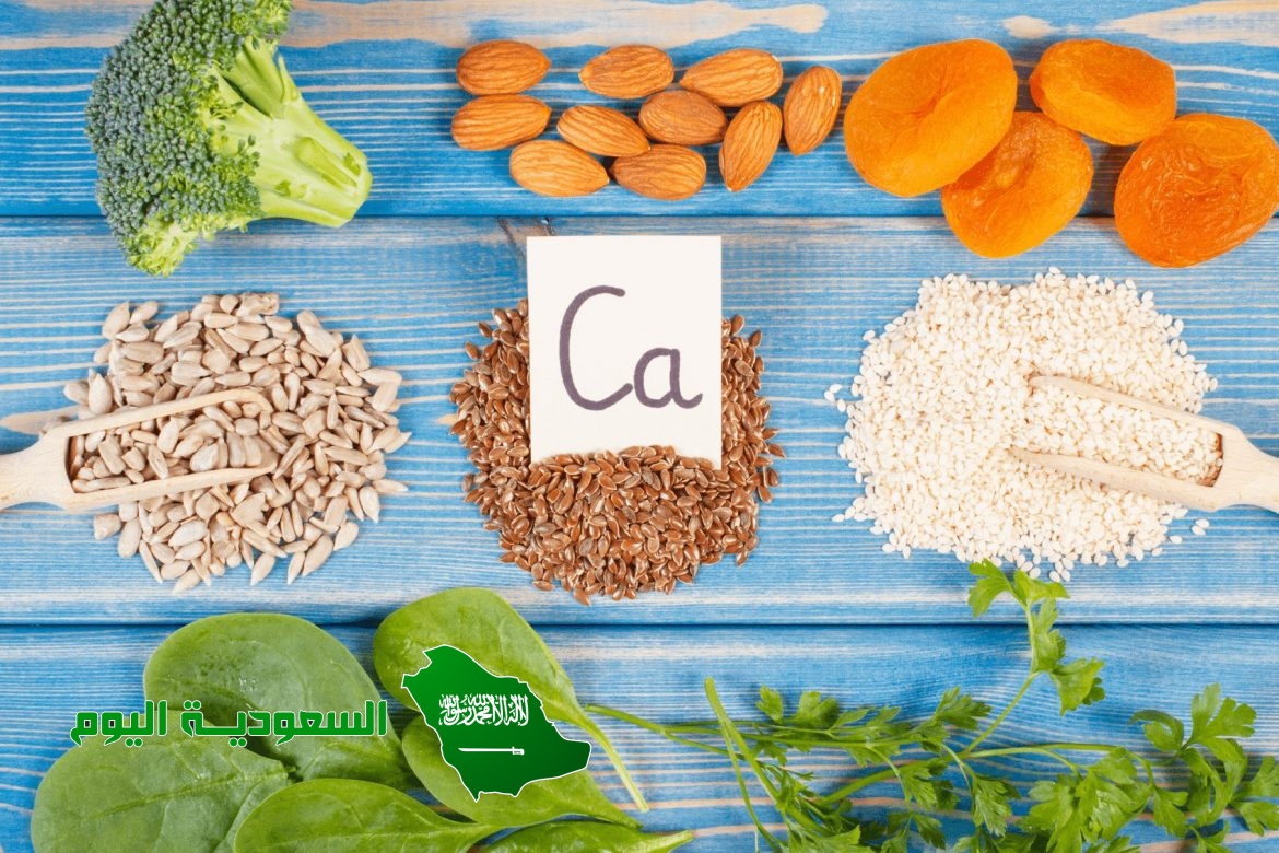 تكسب العظام الصلابة بيت العلم