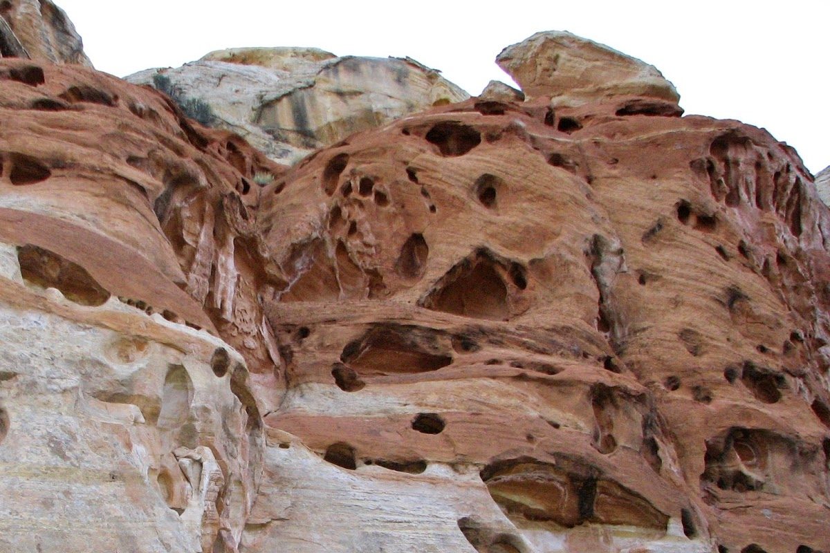 جميع العوامل تسبب التجويه ماعدا