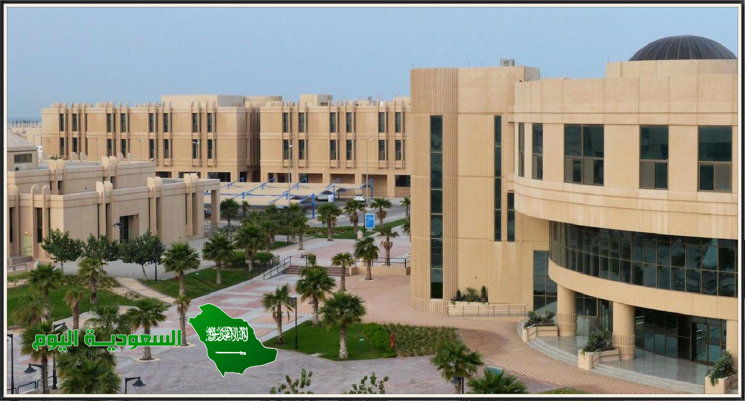 افُتتح العديد من الجامعات حتى وصل عددها 28 جامعة في عهد الملك