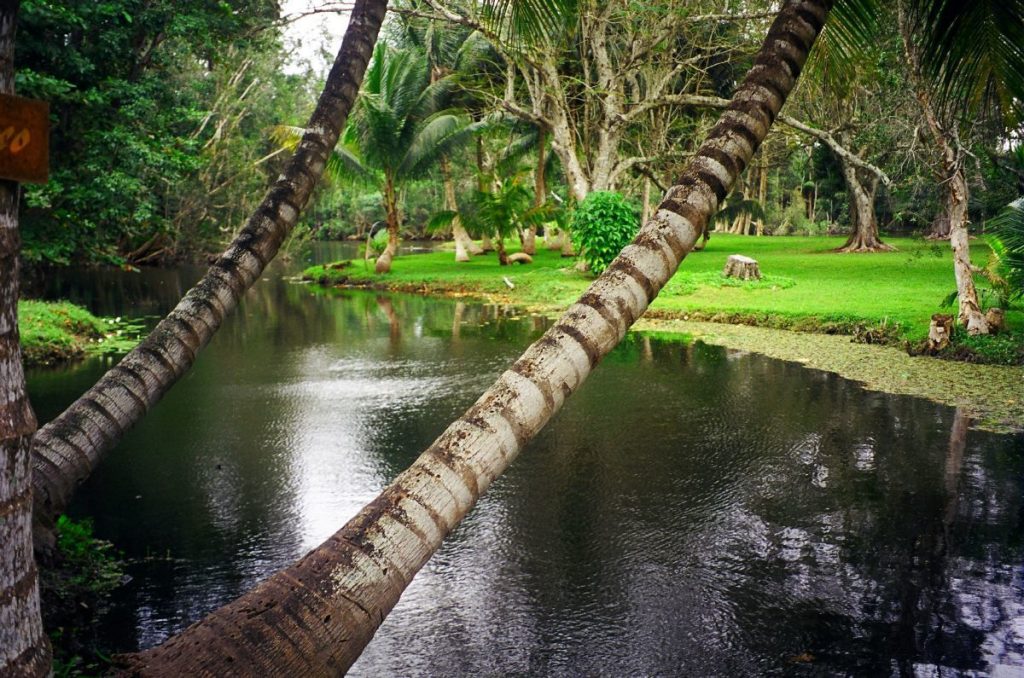 يتصف مناخ الإقليم المداري الاستوائي بالحرارة المرتفعة والأمطار الغزيرة على مدار السنة.