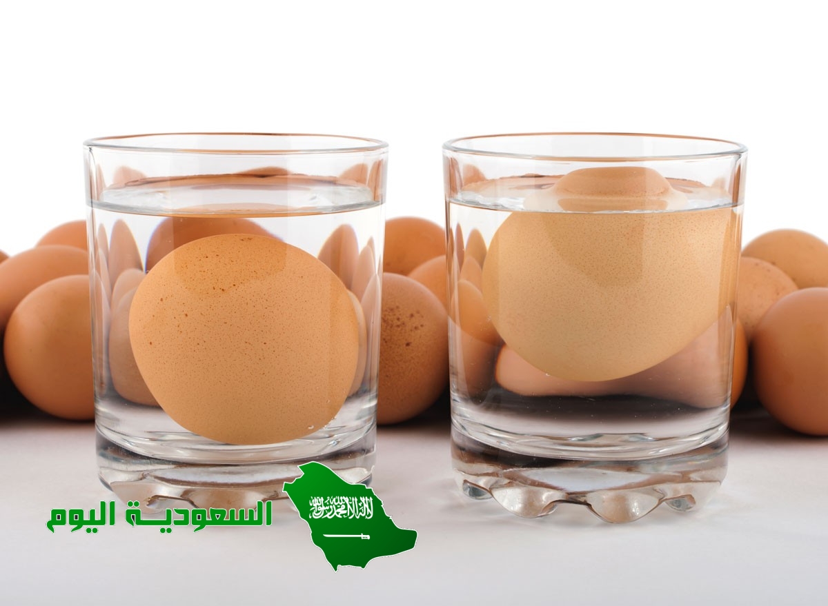 ضع بيضة في كول به ماء ومقدار ملقعة من الملح . سجل مشاهدتك واستنتاجك في حالة تستقر في القاع هل هي................. فاسدة صالحة جافة