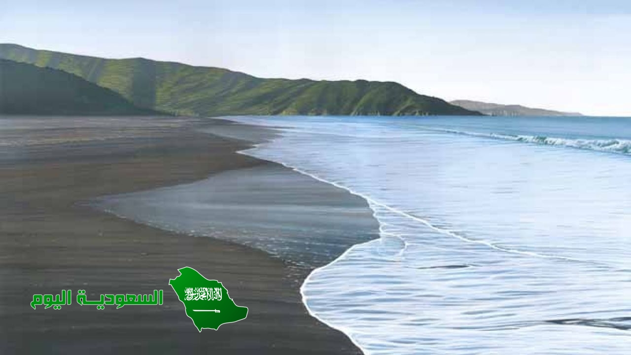 تاثير القمر في المد والجزر اكبر من تاثير الشمس