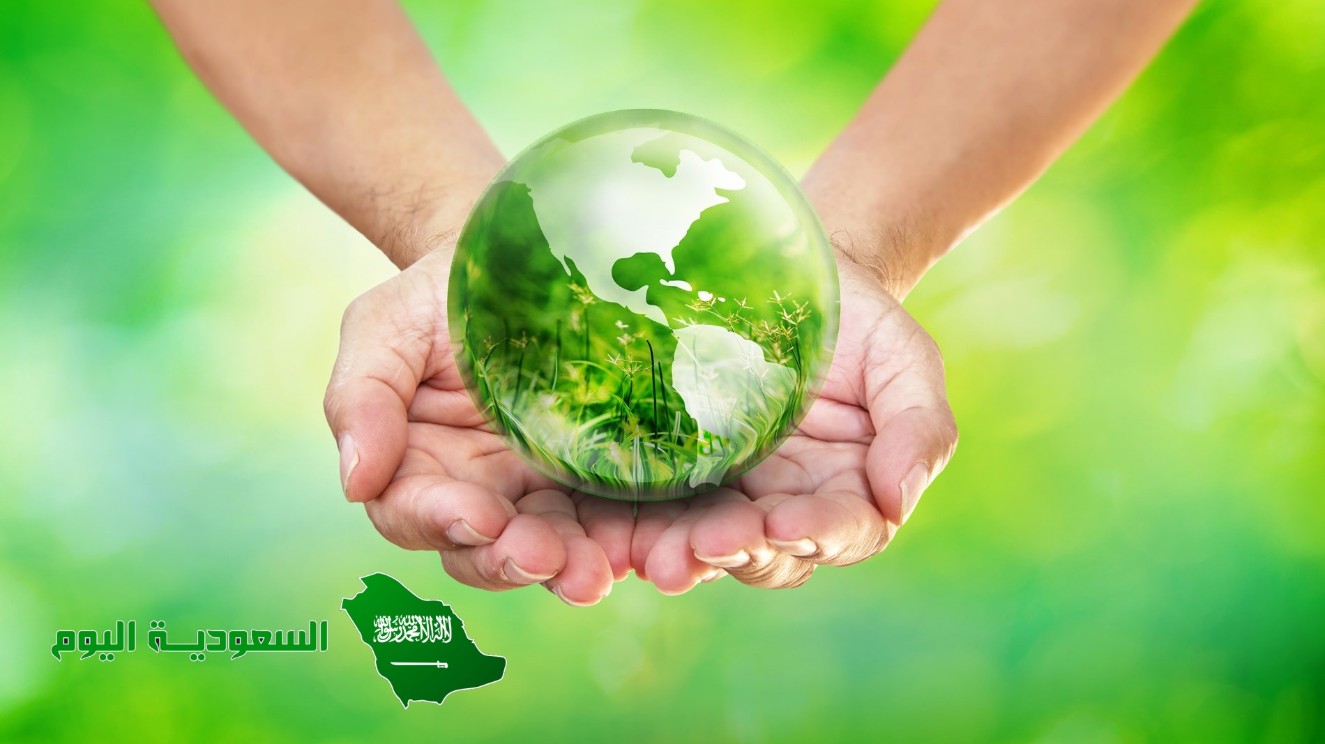 الاستخدام المستدام نافع للبيئة والمجتمع الحيوي