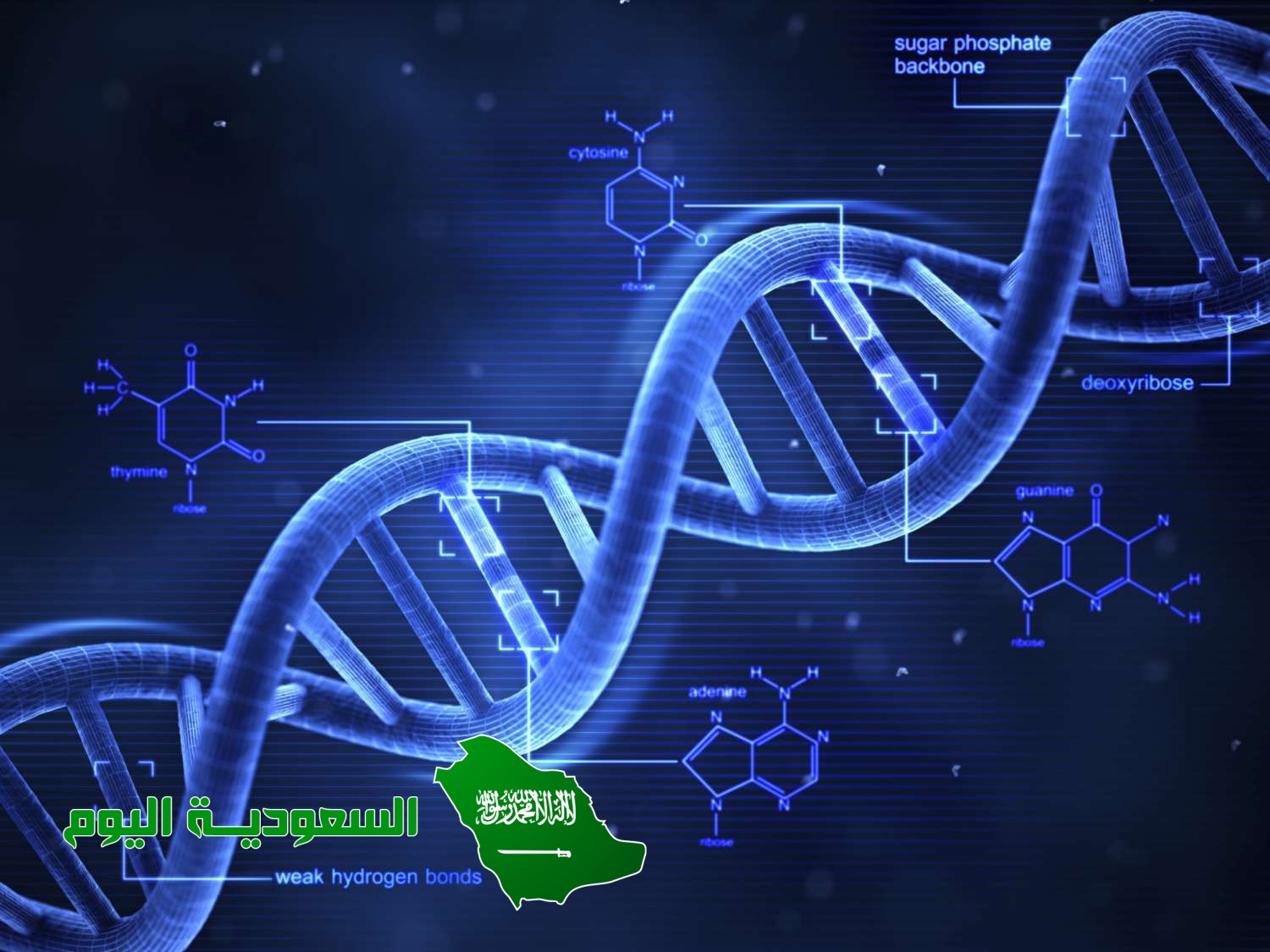 يسمى اي انحراف ينتج خلال عملية تضاعف dna هو الطفرة بيت العلم