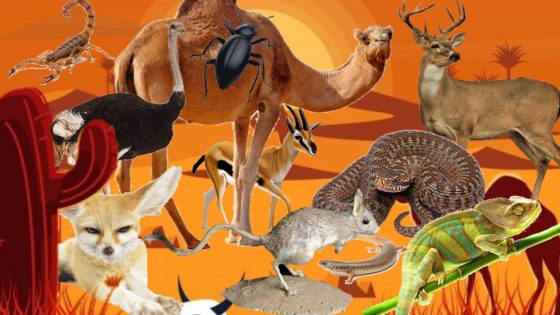 لماذا تنشط العديد من الحيوانات الصحراويه ليلا