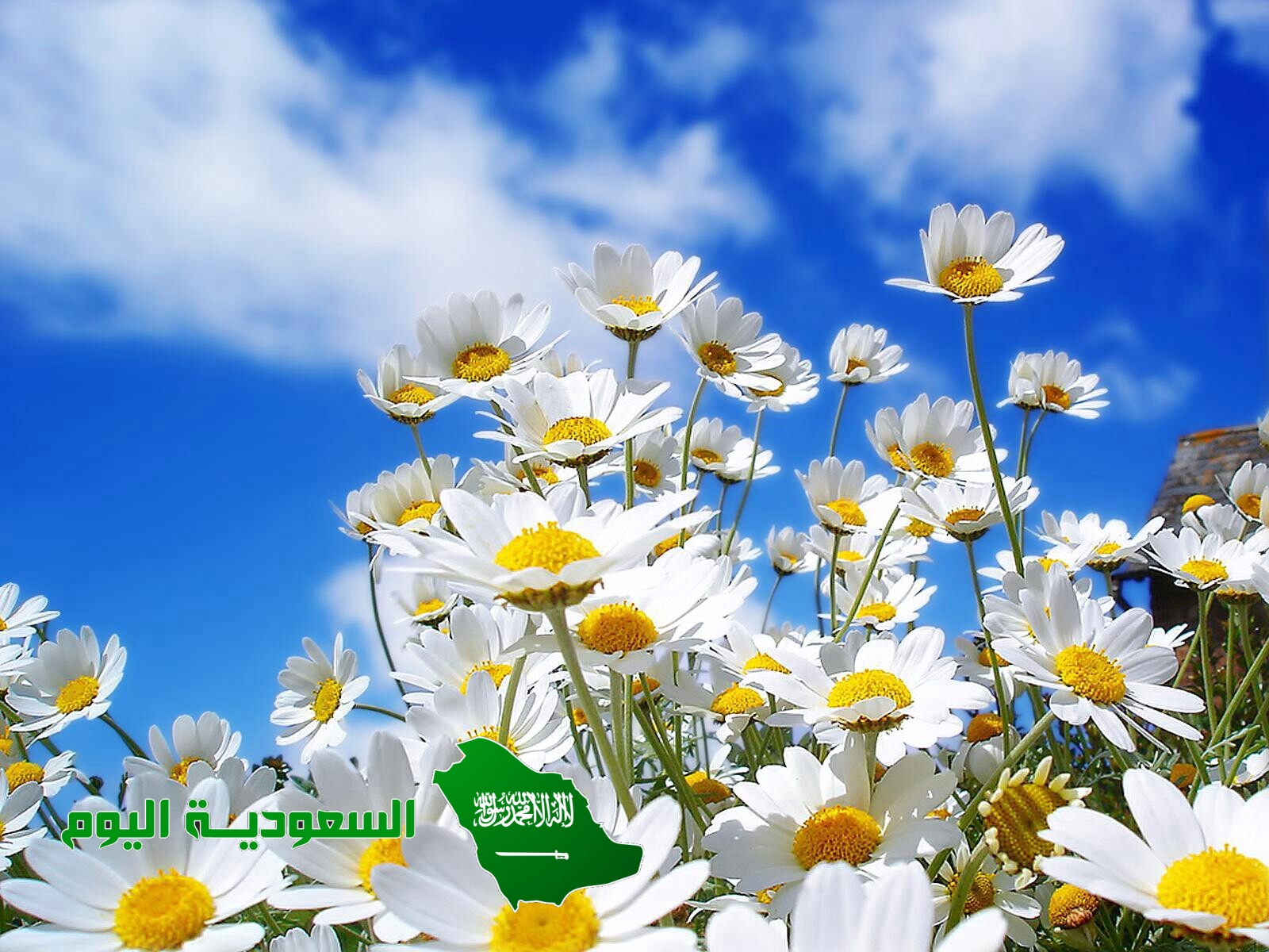 الرجاء هو خوف العبد من الله تعالى أن يعاقبه في الدنيا أو الآخرة وخوفه من مقامه بين يدي الله في الآ