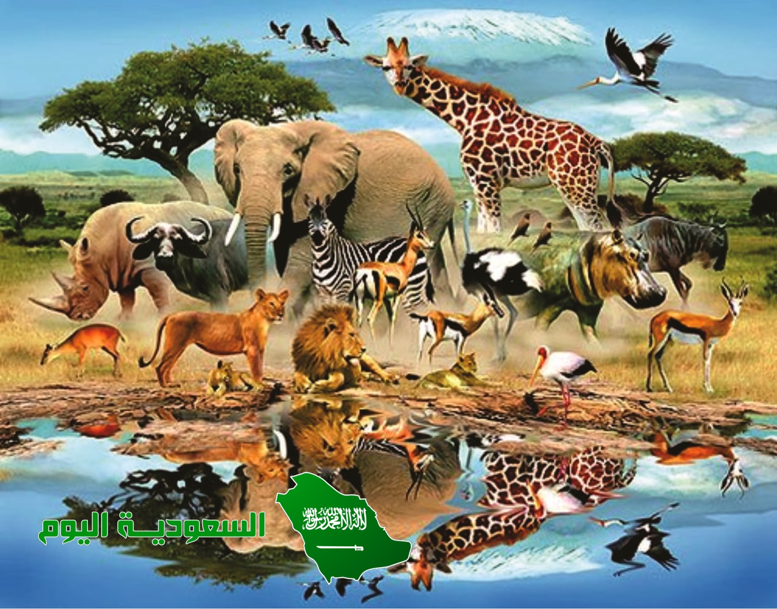 ماهو الحيوان الذي يصوم رمضان