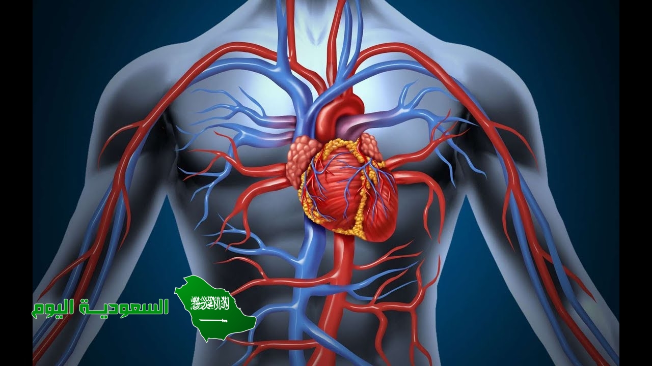 الجهاز الذي لا يتدفق الدم خلاله داخل أوعية، بل يتدفق مباشرة حول الأعضاء هو جهاز الدوران المفتوح. صواب خطأ