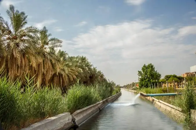 انشاء مشروع الري والصرف في الاحساء الملك