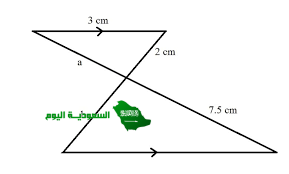 المثلثان أدناه متشابهان، ما التبرير الصحيح لذلك؟