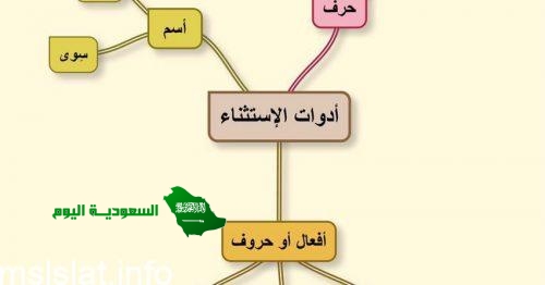 غير وسوى حرفا استثناء