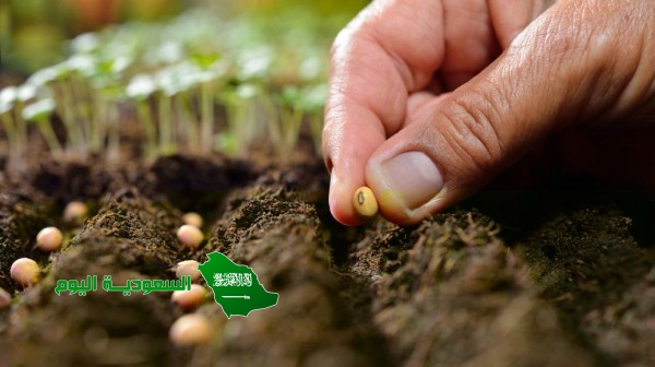 ما جزء النبات الذي ينتج البذور؟