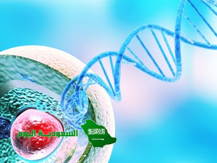 الوظيفة الأساسية ل dna هي تخزين المعلومات الوراثية..
