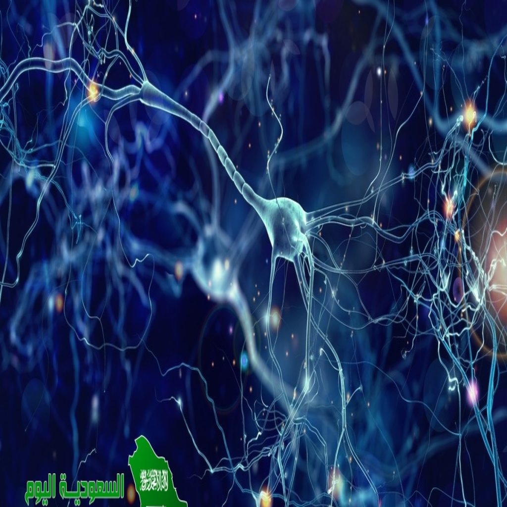 الهرمونات مواد كيميائية يفرزها جهاز الغدد الصماء