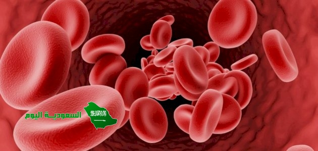 وظائف الدم الرئيسة: