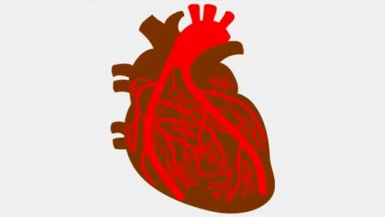 اذا كان معدل نبض قلب عدنان ١٨ نبضة في ١٥ ثانية، فكم ينبض قلبه بهذا المعدل في ٦٠ ثانية؟