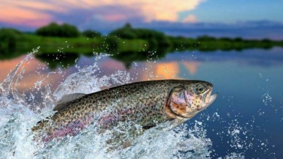 ما الخاصية التي تتمتع بها خياشيم الأسماك لزيادة فاعلية استخلاص الأكسجين من الماء ؟
