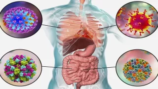 هل وباء الاكس صحيح؟